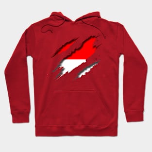 Indonesia Shredding Hoodie